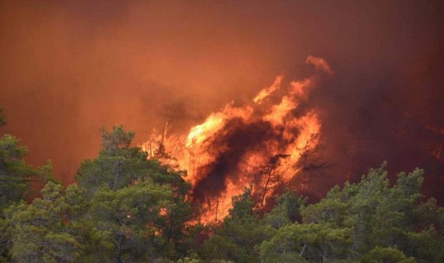 Marmaris'te ormanı yakan sanığın cezası onandı