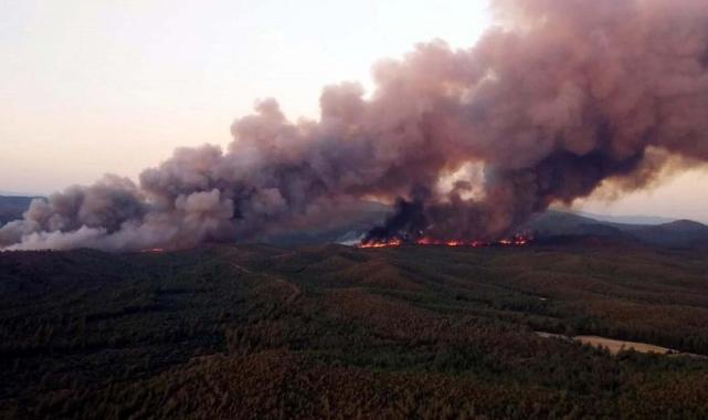 Marmaris'te ormanı yakan sanığın cezası onandı