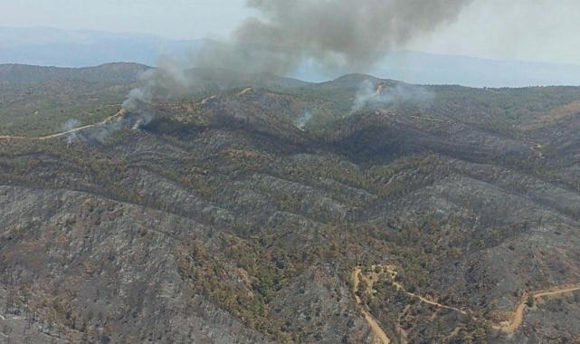 Marmaris'te ormanı yakan sanığın cezası onandı