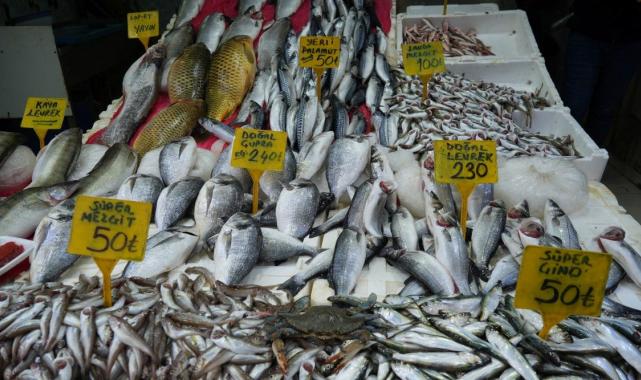 Popülasyonu arttı! Karadeniz'de 'mavi yengeç' tehlikesi