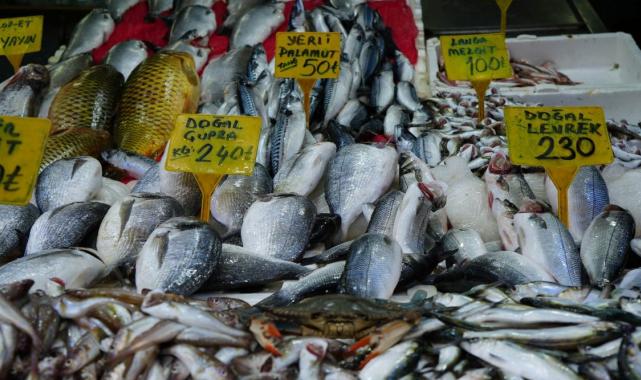 Popülasyonu arttı! Karadeniz'de 'mavi yengeç' tehlikesi