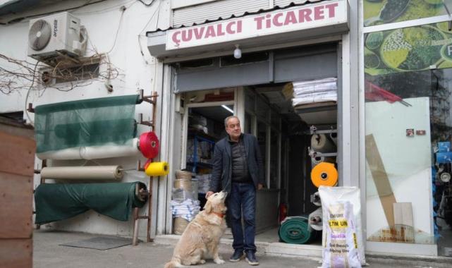 Samsun'da köpekten korkup düşen doktor ayağını kırdı: Mahkeme sahibine 700 bin TL'ye yakın ceza verdi