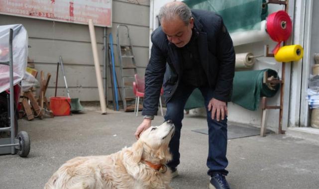 Samsun'da köpekten korkup düşen doktor ayağını kırdı: Mahkeme sahibine 700 bin TL'ye yakın ceza verdi