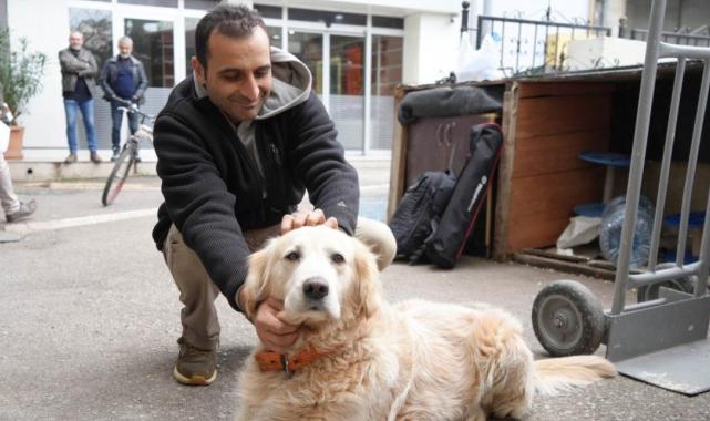 Samsun'da köpekten korkup düşen doktor ayağını kırdı: Mahkeme sahibine 700 bin TL'ye yakın ceza verdi