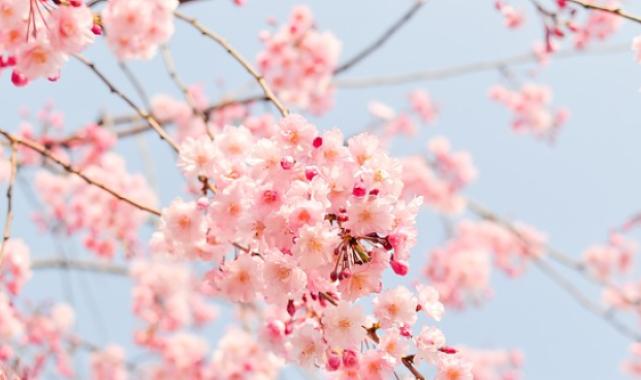Siyasilerden Nevruz Bayramı mesajı