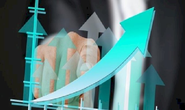 Borusan Yatırım'dan kar dağıtımı kararı