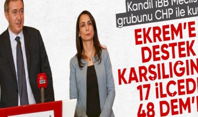 CHP'nin DEM Parti'ye vereceği belediye meclis üyesi adaylıkları
