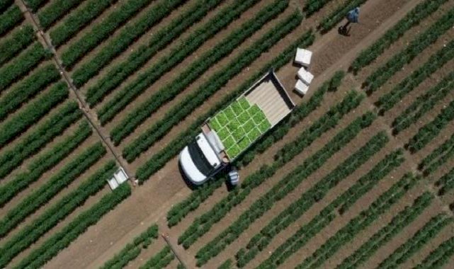 Çiftçilerin hesabına 142,6 milyon liralık destekleme ödemesi yapıldı