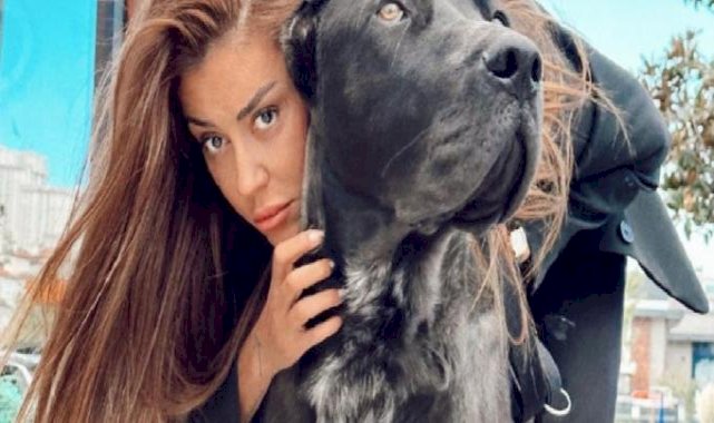 Fenomen Banu Parlak hakkında yeni şikayet: Köpeği, cins köpeği parçaladı!