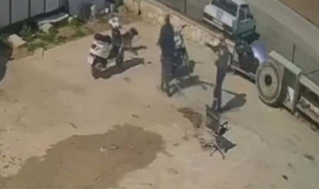 İzmir'de kedisini öldüren köpeği hortumla dövdü