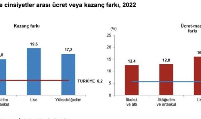 Türkiye'de kadınlar erkeklerden daha az kazanıyor! En büyük fark üniversite mezunları arasında