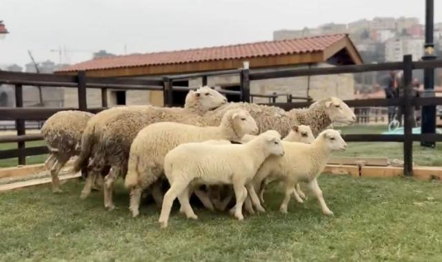 Üsküdarlılar hazır mısınız? Hilmi Türkmen duyurdu: Çocuk Köyü açılıyor...