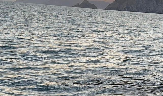 Boyner, genç yüzücü Aysu Türkoğlu’nun Guinness hedefine ortak oldu