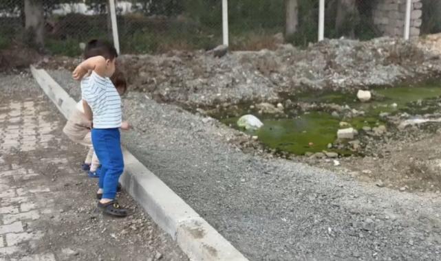 Hatay'da havalar ısınınca konteynerlerde sinek ve haşere sorunu başladı