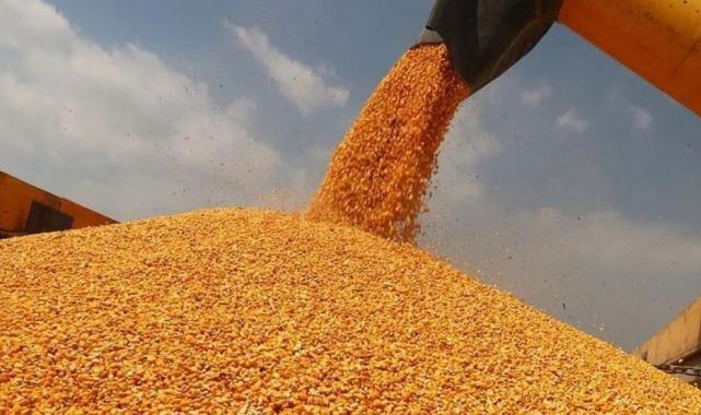 İbrahim Yumaklı: TMO yeni hasat sezonuna hazır