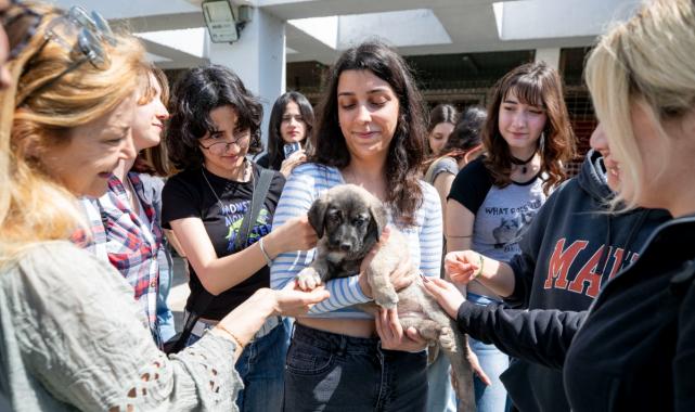İzmir Büyükşehir Belediyesi, 4 Nisan Dünya Sokak Hayvanları Günü'nü PAKO'da kutladı