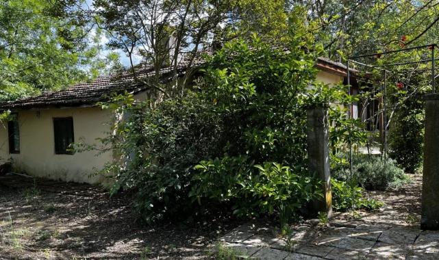 Korhan Berzeg’in kafatası ile ayak kemikleri aranıyor