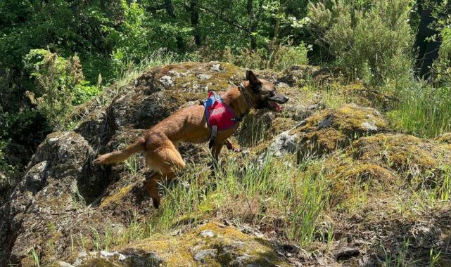 Korhan Berzeg’in kafatası ile ayak kemikleri aranıyor