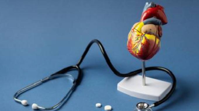 LDL, HDL ve Kolesterol Seviyeleri Bize Neler Söylüyor ?