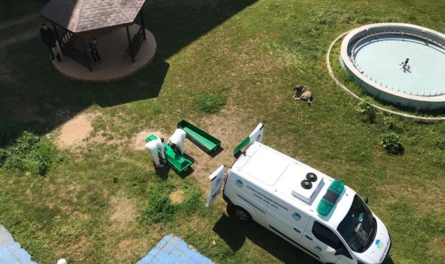 Sakarya'da yazlık sitedeki dairede 2 ceset bulundu