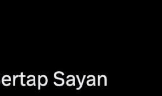 Sertab Erener'in estetikli hali görenleri şaşırttı