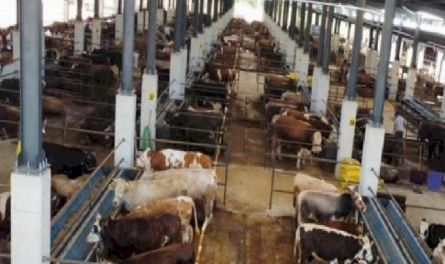 İnegöl Hayvan Pazarı 27 Mayıs'ta kapılarını açıyor