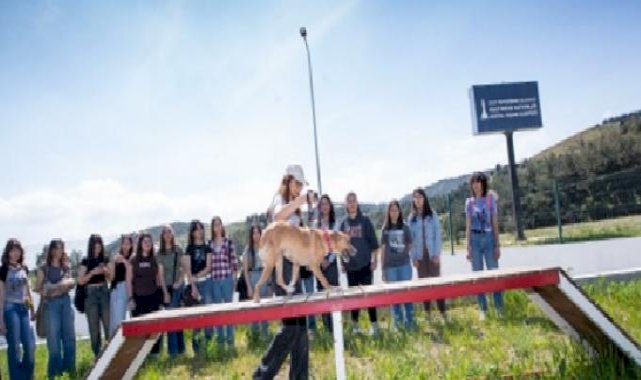 İzmir Büyükşehir Belediyesi, 4 Nisan Dünya Sokak Hayvanları Günü'nü PAKO'da kutladı