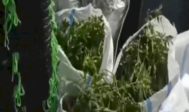 Türkiye genelinde uyuşturucu operasyonu: 194 şüpheli yakalandı