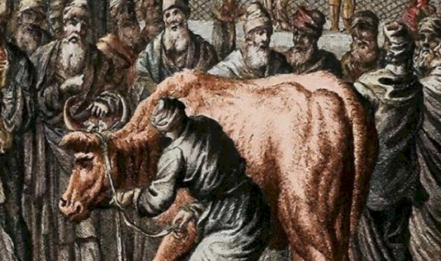 Vakanüvis yazdı: Antik çağlardan günümüze 'Kızıl Düveler'