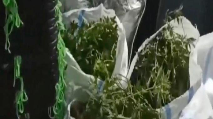 Türkiye genelinde uyuşturucu operasyonu: 194 şüpheli yakalandı