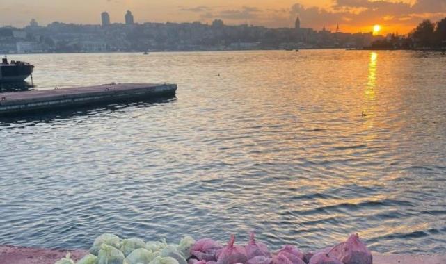 Üsküdar'da 1 buçuk tonluk kaçak midye baskını