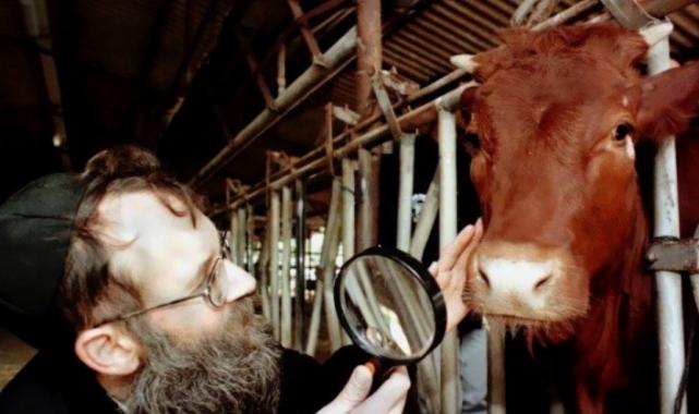 Vakanüvis yazdı: Antik çağlardan günümüze 'Kızıl Düveler'