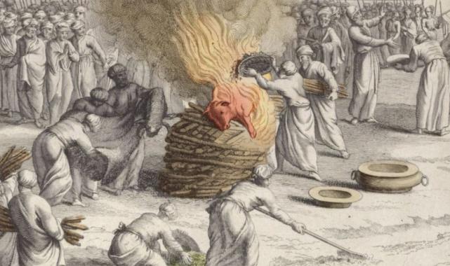 Vakanüvis yazdı: Antik çağlardan günümüze 'Kızıl Düveler'