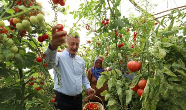 Başkan Büyükakın’dan kadın üreticiye destek