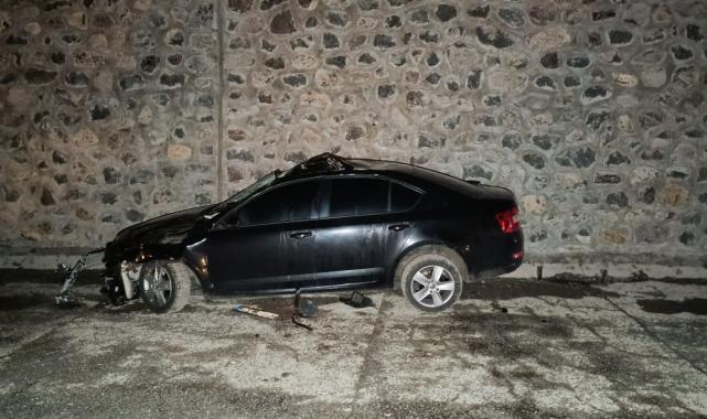 Bingöl'de otomobil yola çıkan ata çarptı