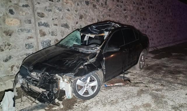 Bingöl'de otomobil yola çıkan ata çarptı
