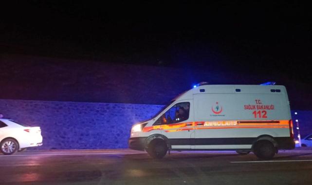 Bingöl'de otomobil yola çıkan ata çarptı