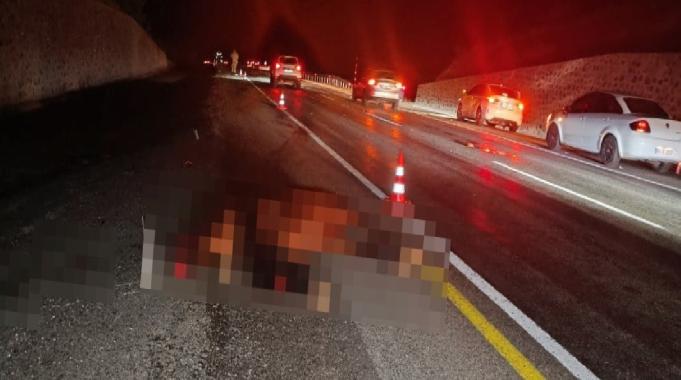 Bingöl'de otomobil yola çıkan ata çarptı