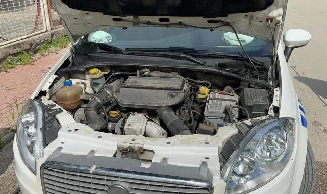 Bursa'da polis arabasına yılan girdi