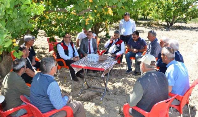 Denizli’nin Pamukkale ilçesinde erkenci kayısıların hasadına başlandı