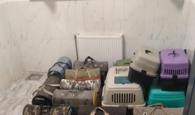 Diyarbakır'da Horoz Koruma Derneği'ne ‘horoz dövüşü' operasyonu