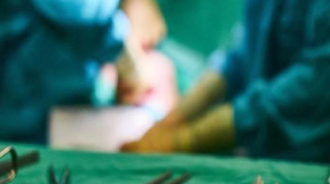 Dünyada ilk kez denendi: ABD&#039;de, domuz böbreği nakli yapılan hasta yaşamını yitirdi