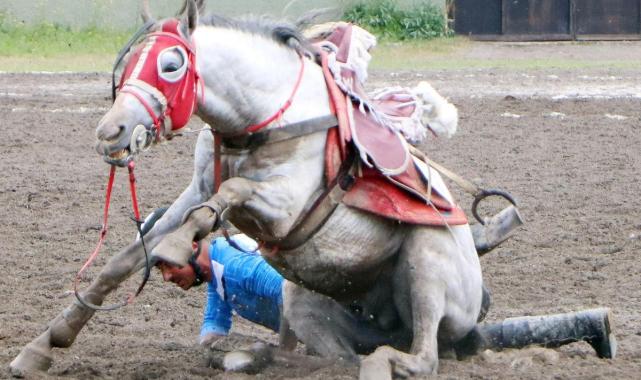 Erzurum'da atıyla takla attı, ölümden döndü