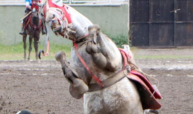 Erzurum'da atıyla takla attı, ölümden döndü