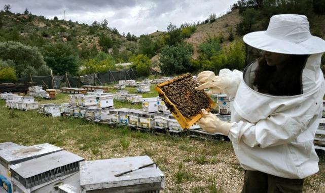 Eskişehir'de turizm sektörünü bıraktı, arıcılıkta uzman oldu