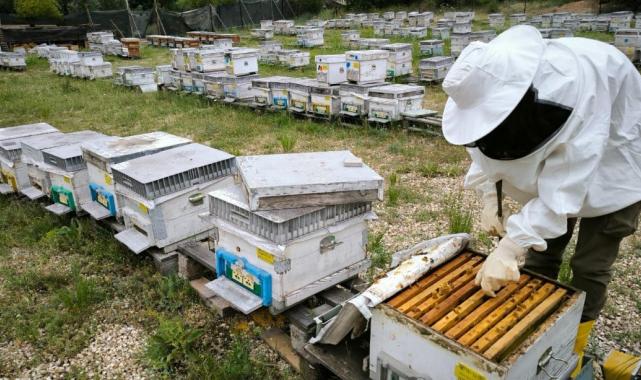 Eskişehir'de turizm sektörünü bıraktı, arıcılıkta uzman oldu