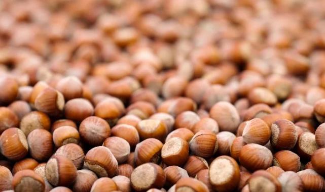 Ferrero Grubu, hedeflerine ulaşma yolunda önemli ilerleme kaydetti