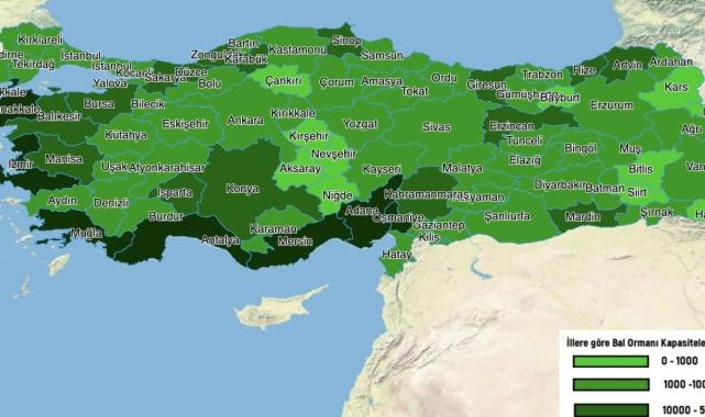 İbrahim Yumaklı: Bal gibi üretim ile dünyada ikinciyiz