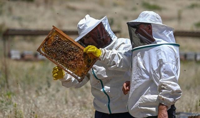 İbrahim Yumaklı: Bal gibi üretim ile dünyada ikinciyiz