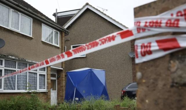 İngiltere'de sahibi olduğu köpeklerin saldırısına uğrayan kadın hayatını kaybetti